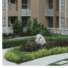 Landscape Garden