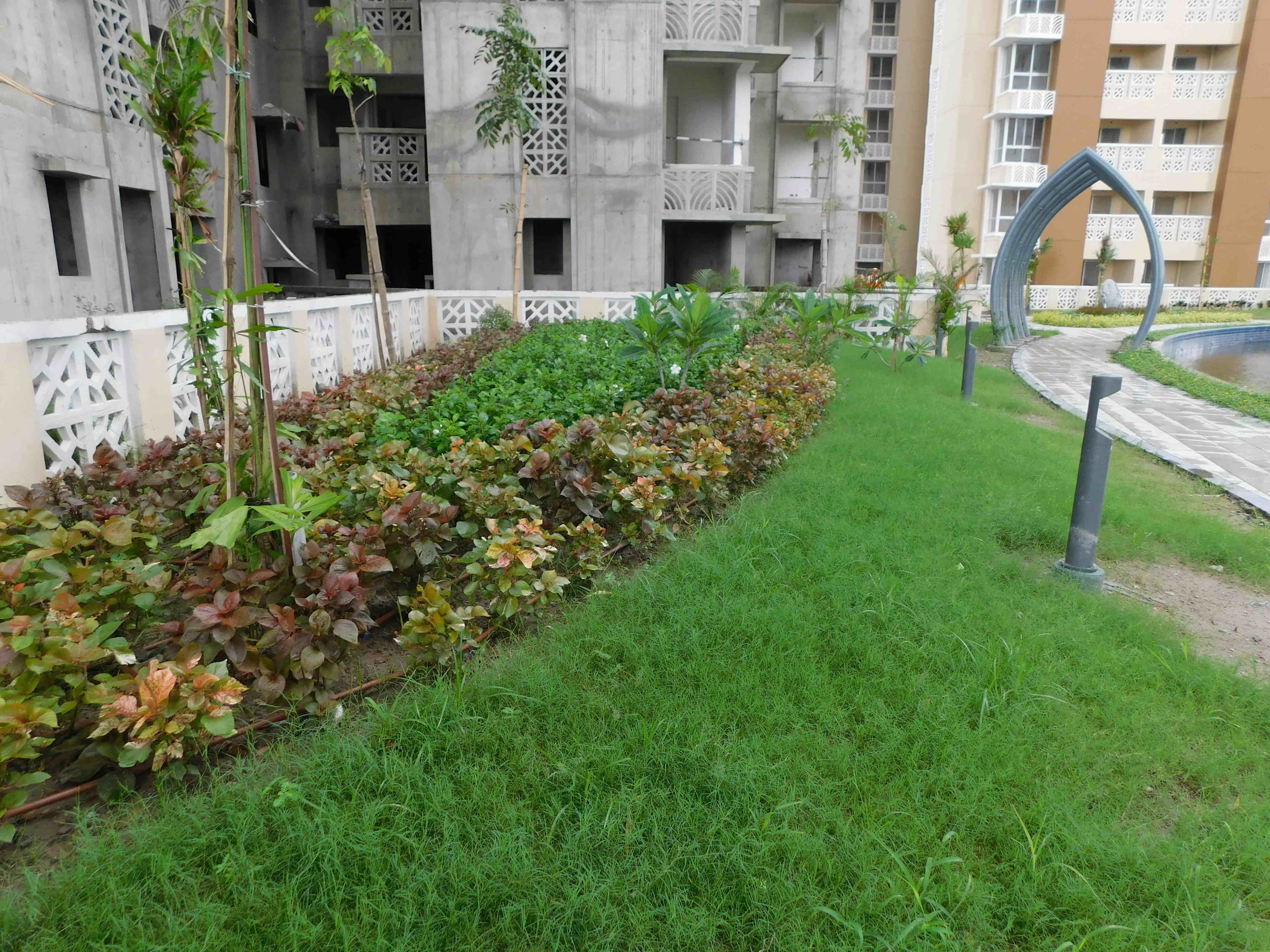Sangam Non Tower Area Work in Progress 19 July 2025