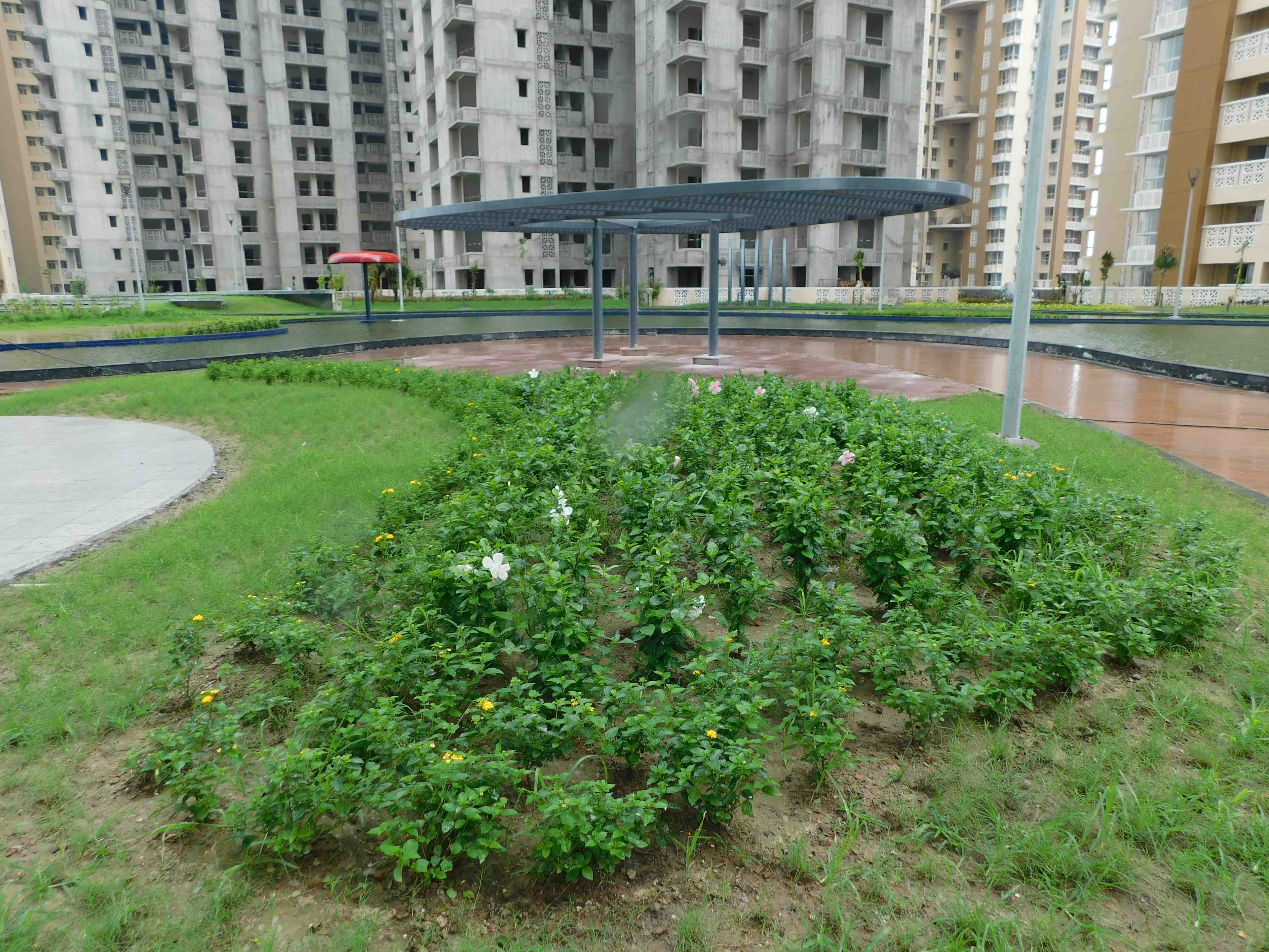 Sangam Non Tower Area Work in Progress 9 July 2025